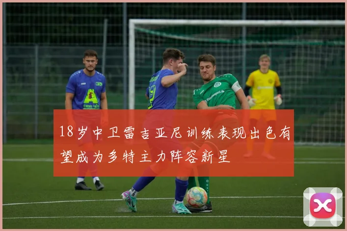 18岁中卫雷吉亚尼训练表现出色有望成为多特主力阵容新星
